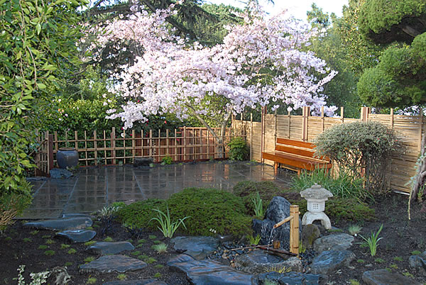 Japanese Home Garden Design Sf Bay Area Bio Friendly Gardens