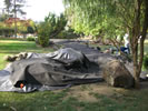 landscape contractor  Walnut Creek