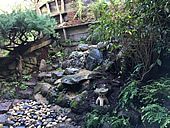 Japanese Garden Berkeley