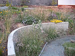 california native garden