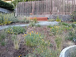 california native garden