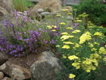 water feature