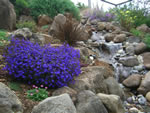 western gardens