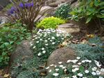 eastern gardens
