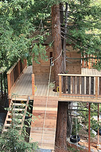 Tree house