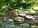 koi pond